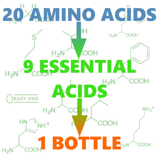 The 9 Essential Amino Acids in Egg Whites & Its Benefits